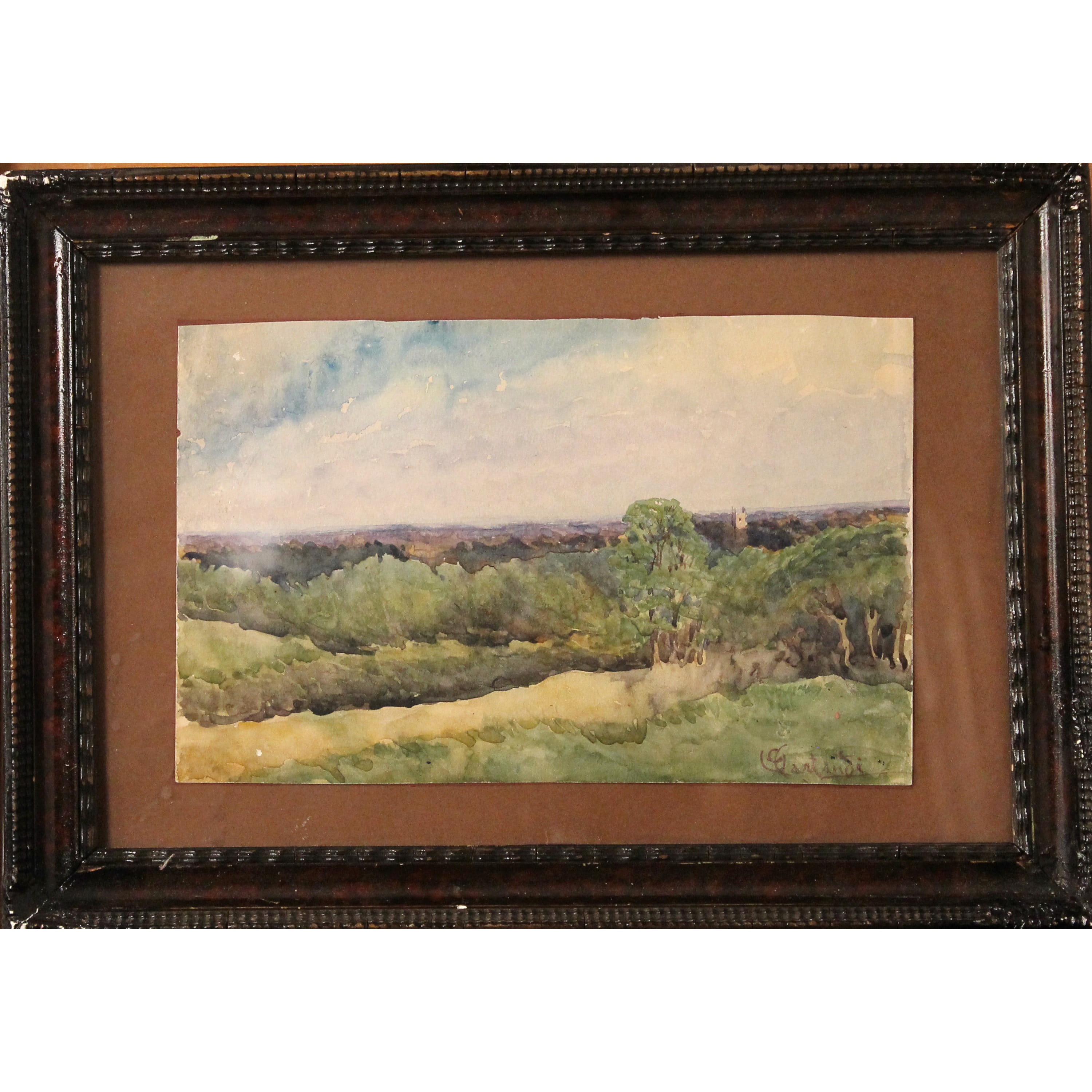Paesaggio di campagna - Country landscape