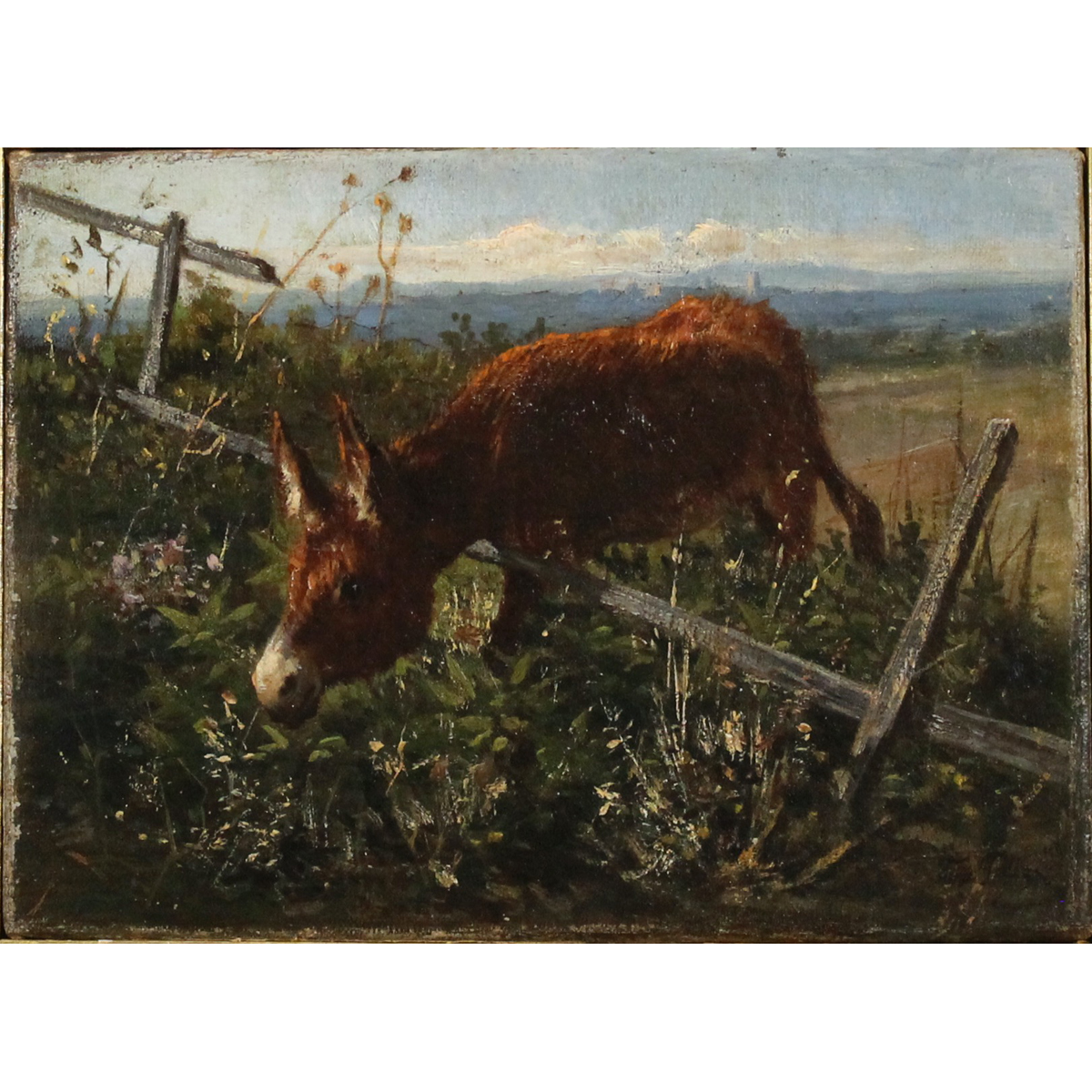 Filippo Palizzi (1818/1899) "Asinello"