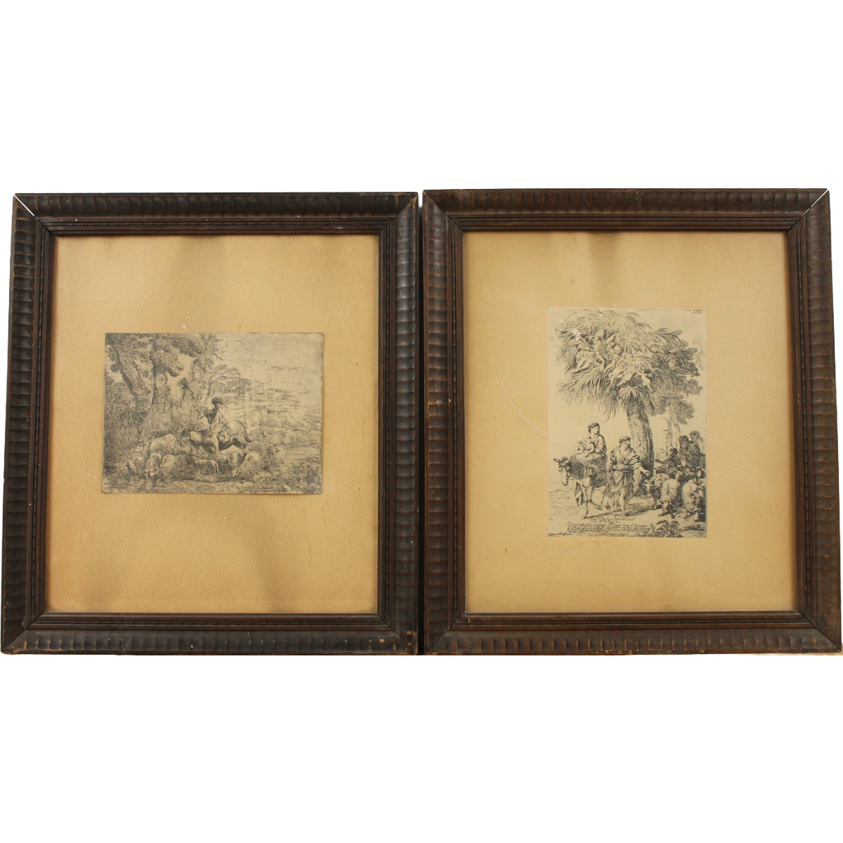 "Scena di vita campestre"