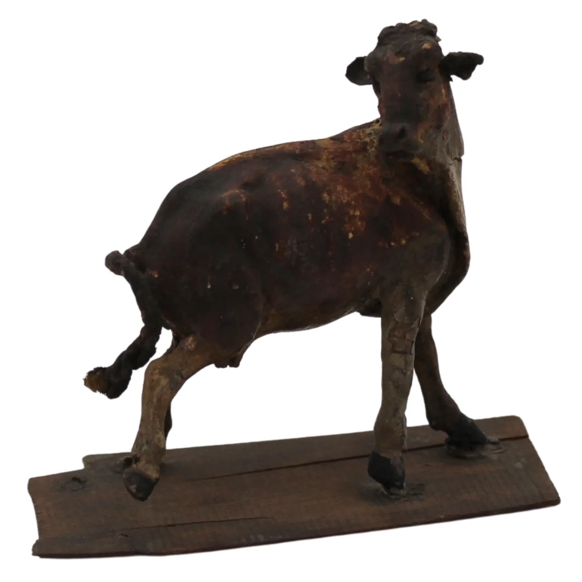 Mucca