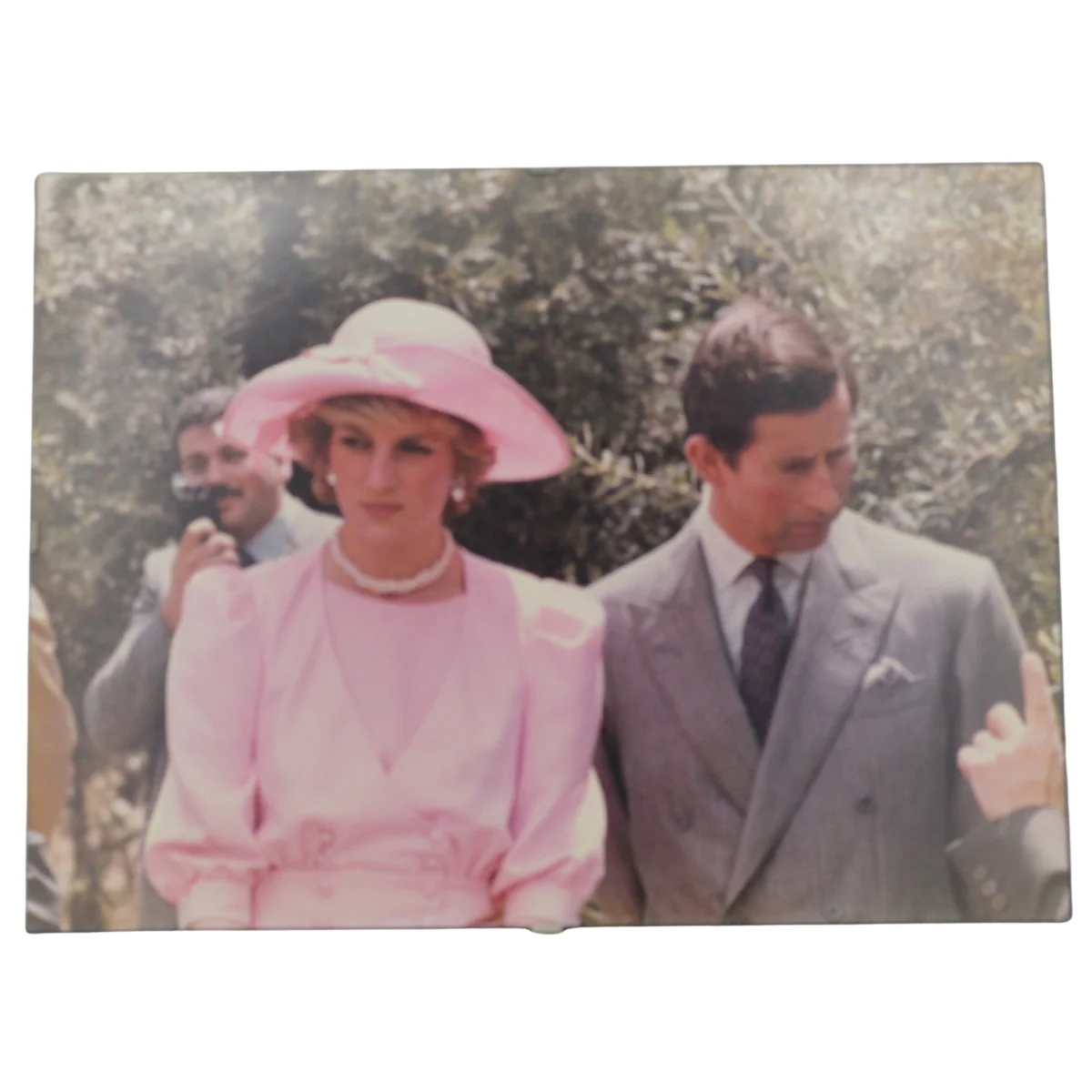 Il principe Carlo e lady Diana Spencer